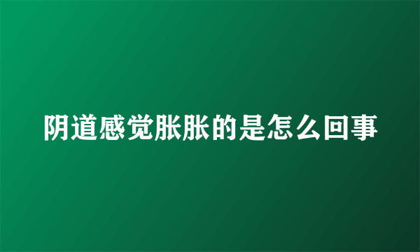 阴道感觉胀胀的是怎么回事