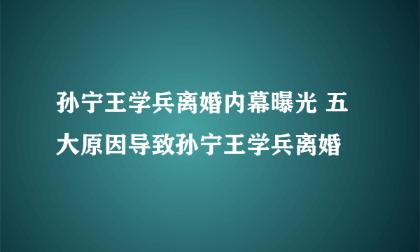 孙宁王学兵离婚内幕曝光 五大原因导致孙宁王学兵离婚