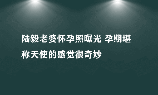 陆毅老婆怀孕照曝光 孕期堪称天使的感觉很奇妙