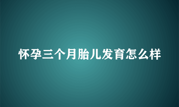 怀孕三个月胎儿发育怎么样