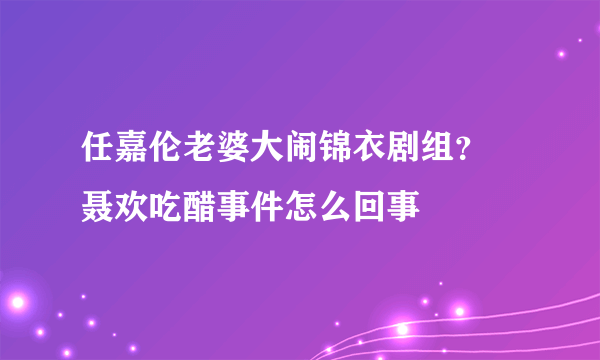 任嘉伦老婆大闹锦衣剧组？  聂欢吃醋事件怎么回事