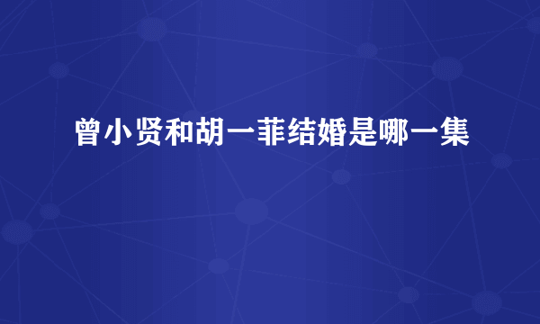 曾小贤和胡一菲结婚是哪一集