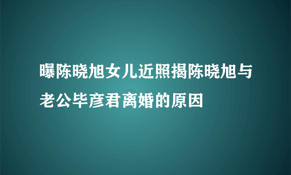 曝陈晓旭女儿近照揭陈晓旭与老公毕彦君离婚的原因