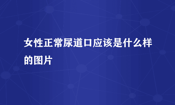 女性正常尿道口应该是什么样的图片