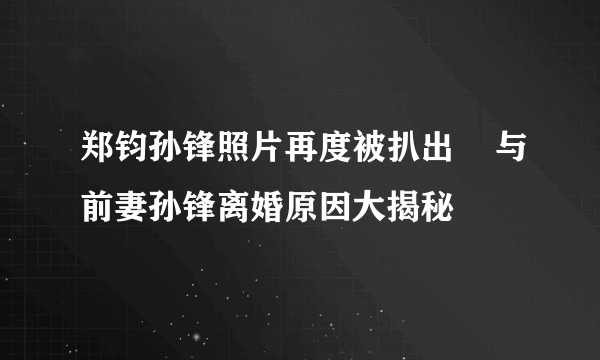 郑钧孙锋照片再度被扒出    与前妻孙锋离婚原因大揭秘