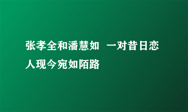 张孝全和潘慧如  一对昔日恋人现今宛如陌路