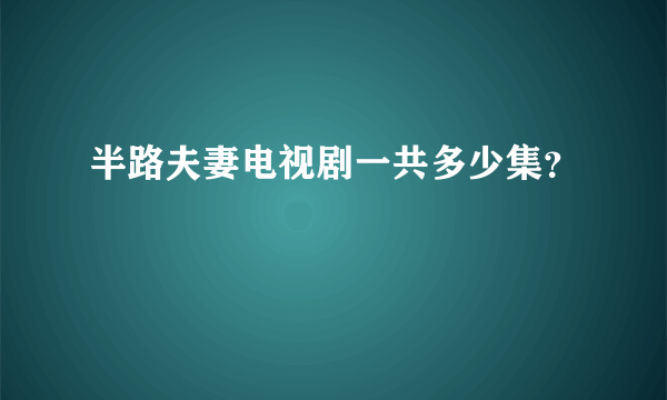 半路夫妻电视剧一共多少集？