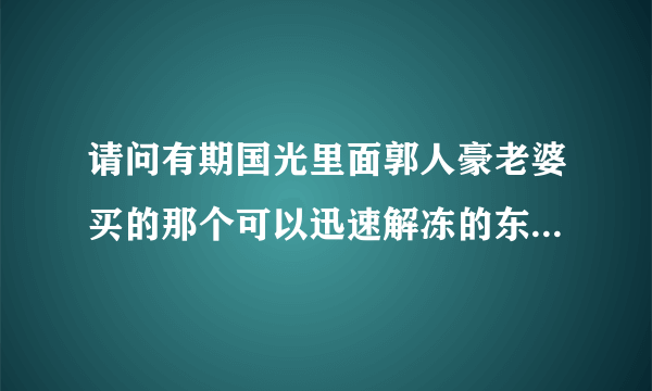 请问有期国光里面郭人豪老婆买的那个可以迅速解冻的东西是什么啊？