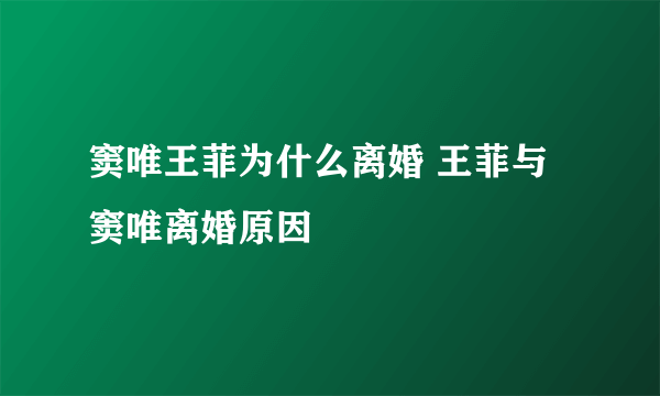 窦唯王菲为什么离婚 王菲与窦唯离婚原因