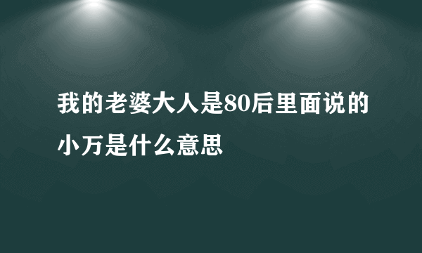 我的老婆大人是80后里面说的小万是什么意思