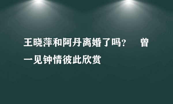 王晓萍和阿丹离婚了吗？   曾一见钟情彼此欣赏