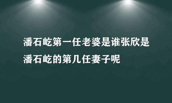 潘石屹第一任老婆是谁张欣是潘石屹的第几任妻子呢