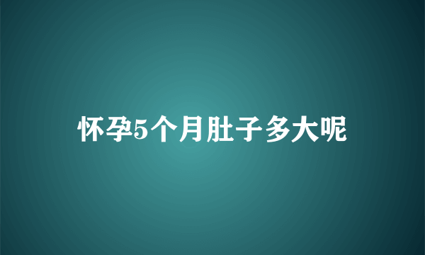 怀孕5个月肚子多大呢