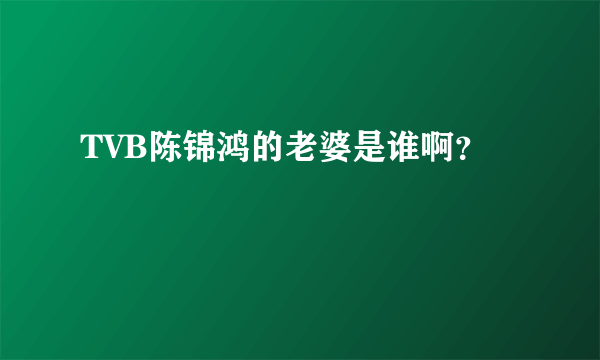 TVB陈锦鸿的老婆是谁啊？