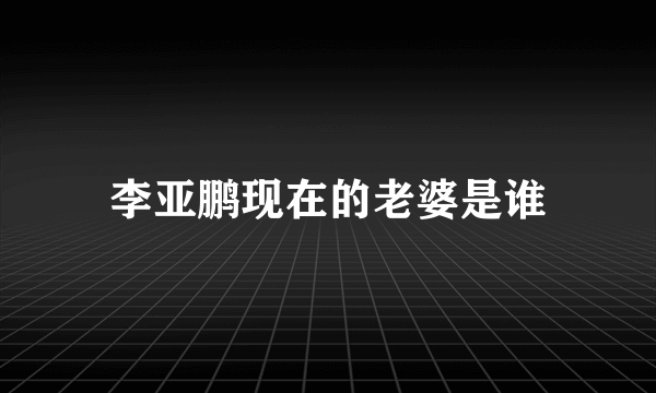 李亚鹏现在的老婆是谁