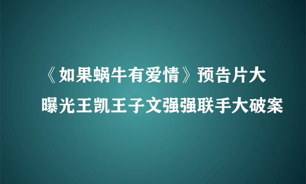 《如果蜗牛有爱情》预告片大曝光王凯王子文强强联手大破案