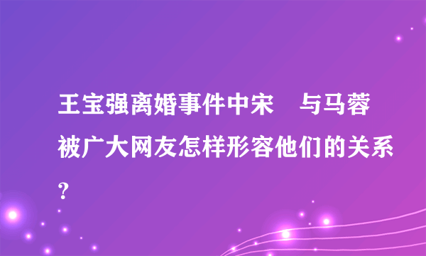 王宝强离婚事件中宋喆与马蓉被广大网友怎样形容他们的关系？