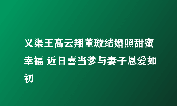 义渠王高云翔董璇结婚照甜蜜幸福 近日喜当爹与妻子恩爱如初