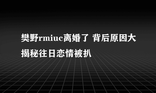 樊野rmiuc离婚了 背后原因大揭秘往日恋情被扒