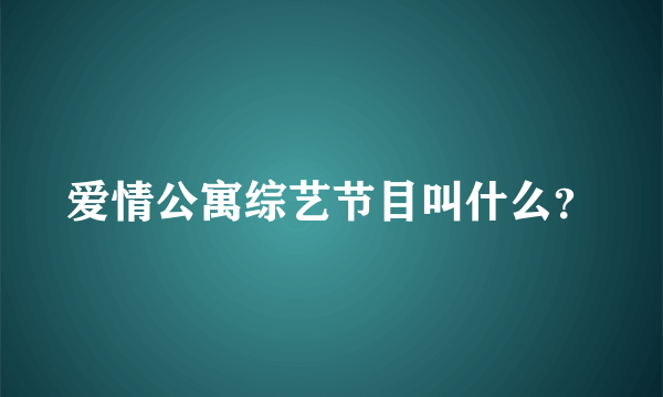 爱情公寓综艺节目叫什么？