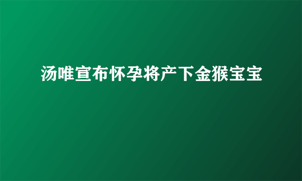 汤唯宣布怀孕将产下金猴宝宝