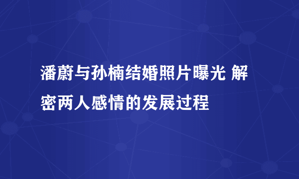 潘蔚与孙楠结婚照片曝光 解密两人感情的发展过程