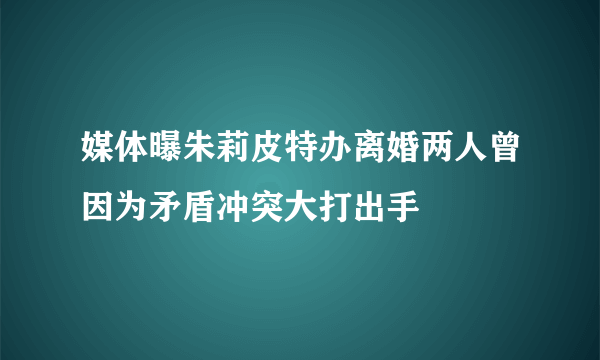 媒体曝朱莉皮特办离婚两人曾因为矛盾冲突大打出手