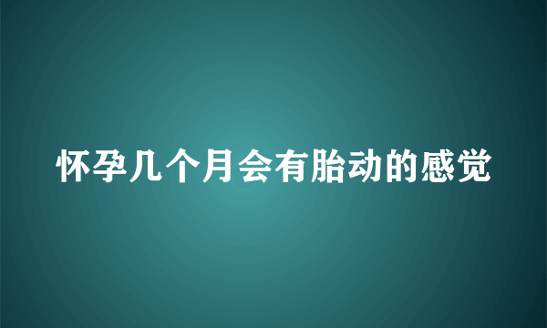 怀孕几个月会有胎动的感觉