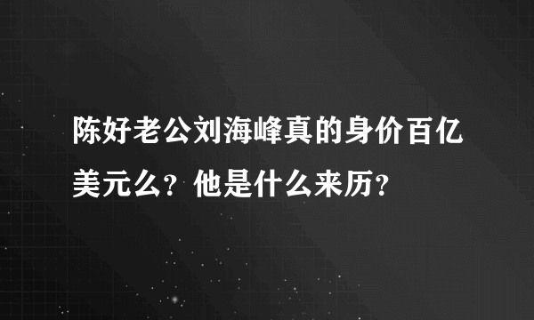 陈好老公刘海峰真的身价百亿美元么？他是什么来历？