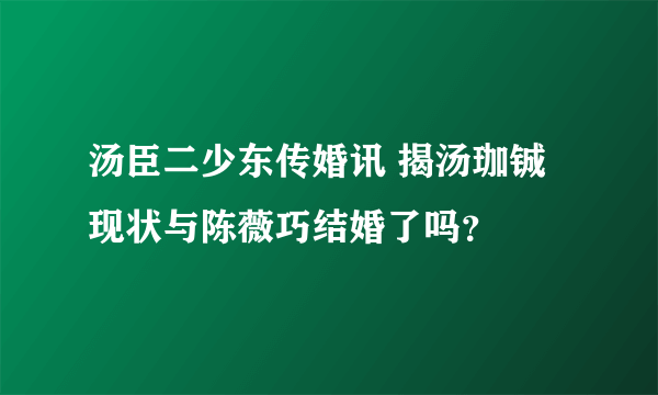 汤臣二少东传婚讯 揭汤珈铖现状与陈薇巧结婚了吗？