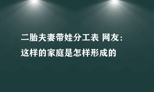 二胎夫妻带娃分工表 网友：这样的家庭是怎样形成的