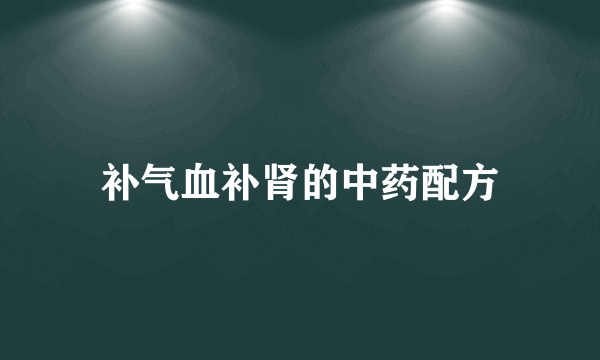 补气血补肾的中药配方