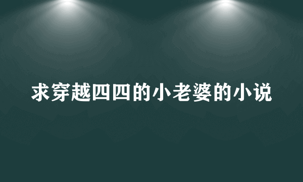 求穿越四四的小老婆的小说