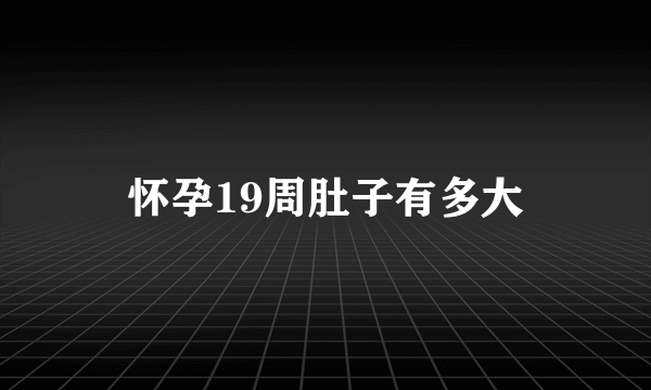 怀孕19周肚子有多大