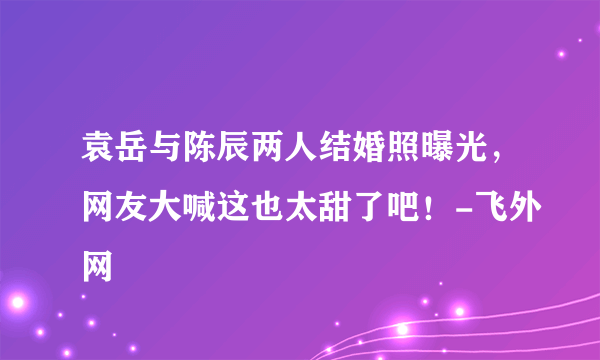 袁岳与陈辰两人结婚照曝光，网友大喊这也太甜了吧！-飞外网