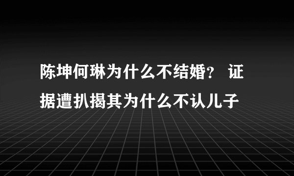 陈坤何琳为什么不结婚？ 证据遭扒揭其为什么不认儿子