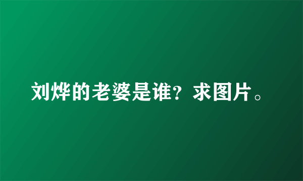 刘烨的老婆是谁？求图片。