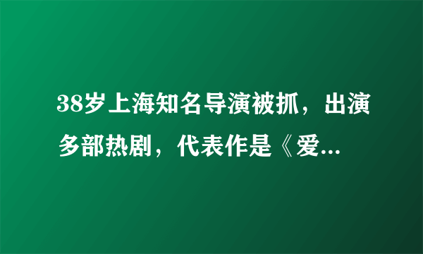 38岁上海知名导演被抓，出演多部热剧，代表作是《爱情公寓》