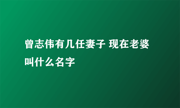 曾志伟有几任妻子 现在老婆叫什么名字