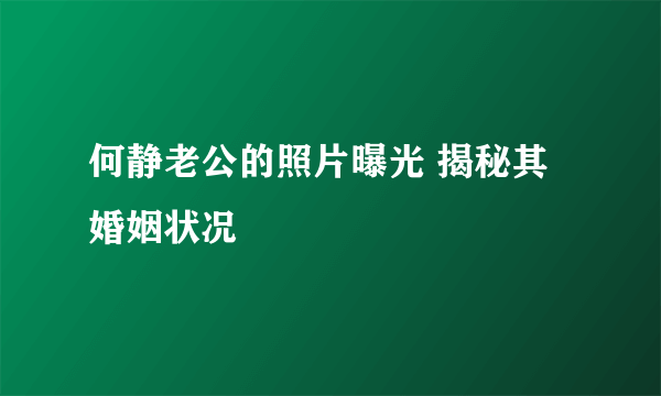 何静老公的照片曝光 揭秘其婚姻状况