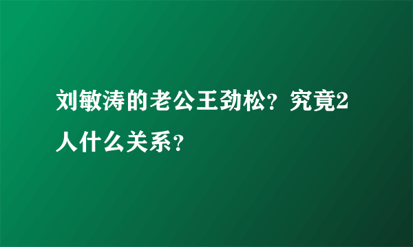 刘敏涛的老公王劲松？究竟2人什么关系？