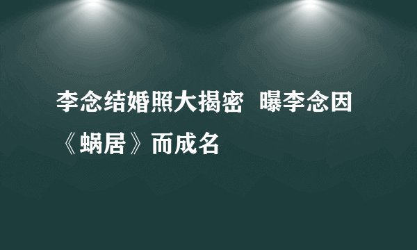 李念结婚照大揭密  曝李念因《蜗居》而成名