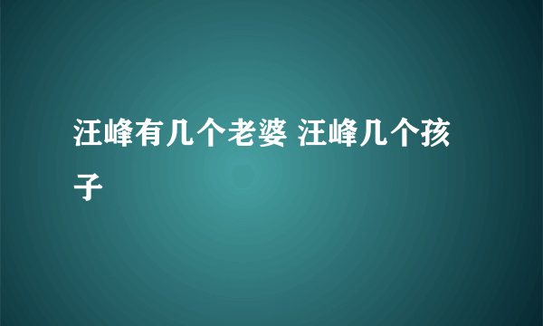 汪峰有几个老婆 汪峰几个孩子