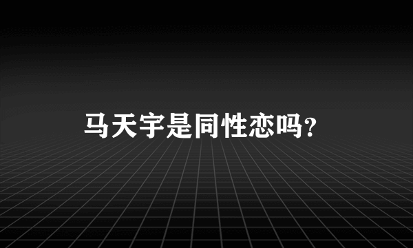 马天宇是同性恋吗？