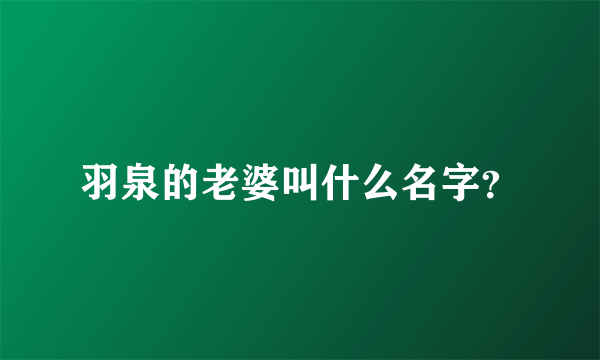 羽泉的老婆叫什么名字？