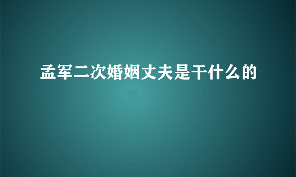 孟军二次婚姻丈夫是干什么的