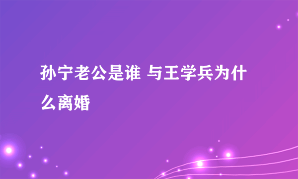 孙宁老公是谁 与王学兵为什么离婚