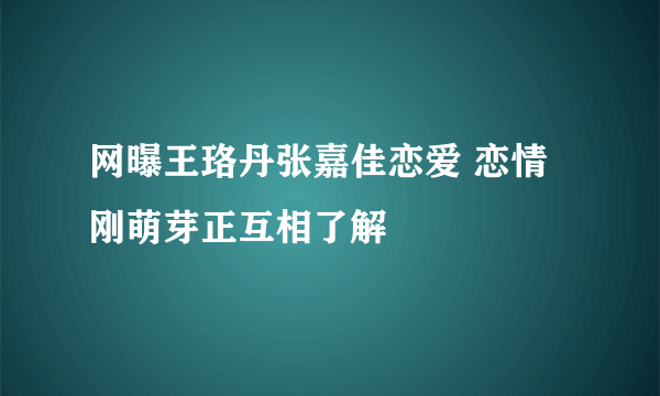 网曝王珞丹张嘉佳恋爱 恋情刚萌芽正互相了解