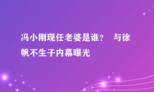 冯小刚现任老婆是谁？  与徐帆不生子内幕曝光