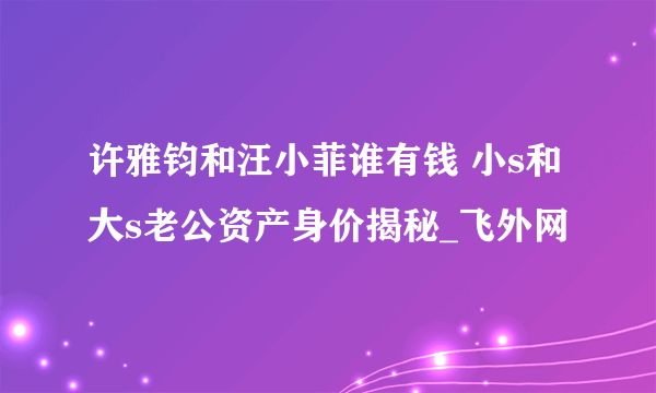 许雅钧和汪小菲谁有钱 小s和大s老公资产身价揭秘_飞外网